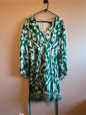 Alex Marie Green and White Printed Long-Sleeve V-Neck Dress